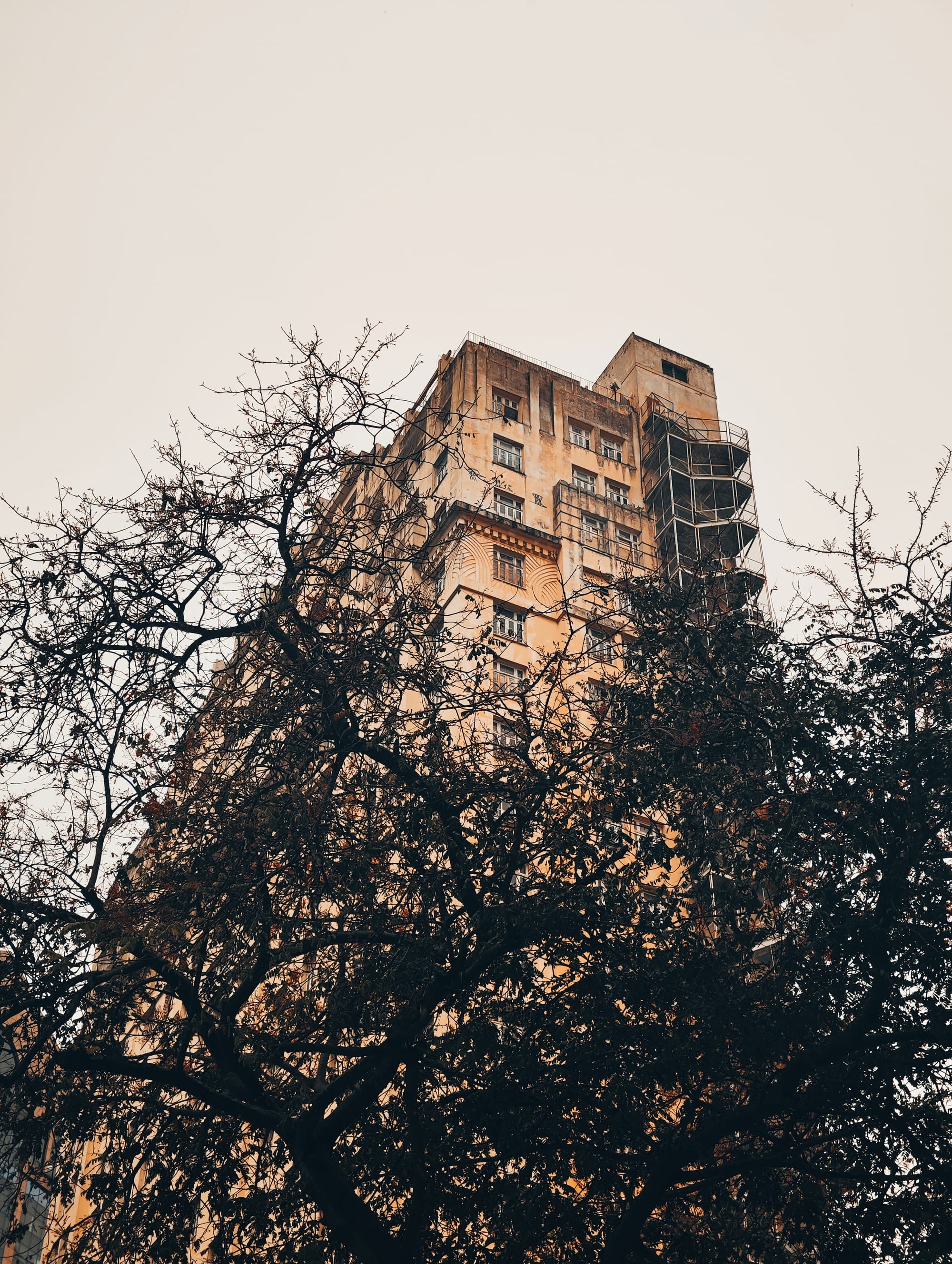 (Untitled)