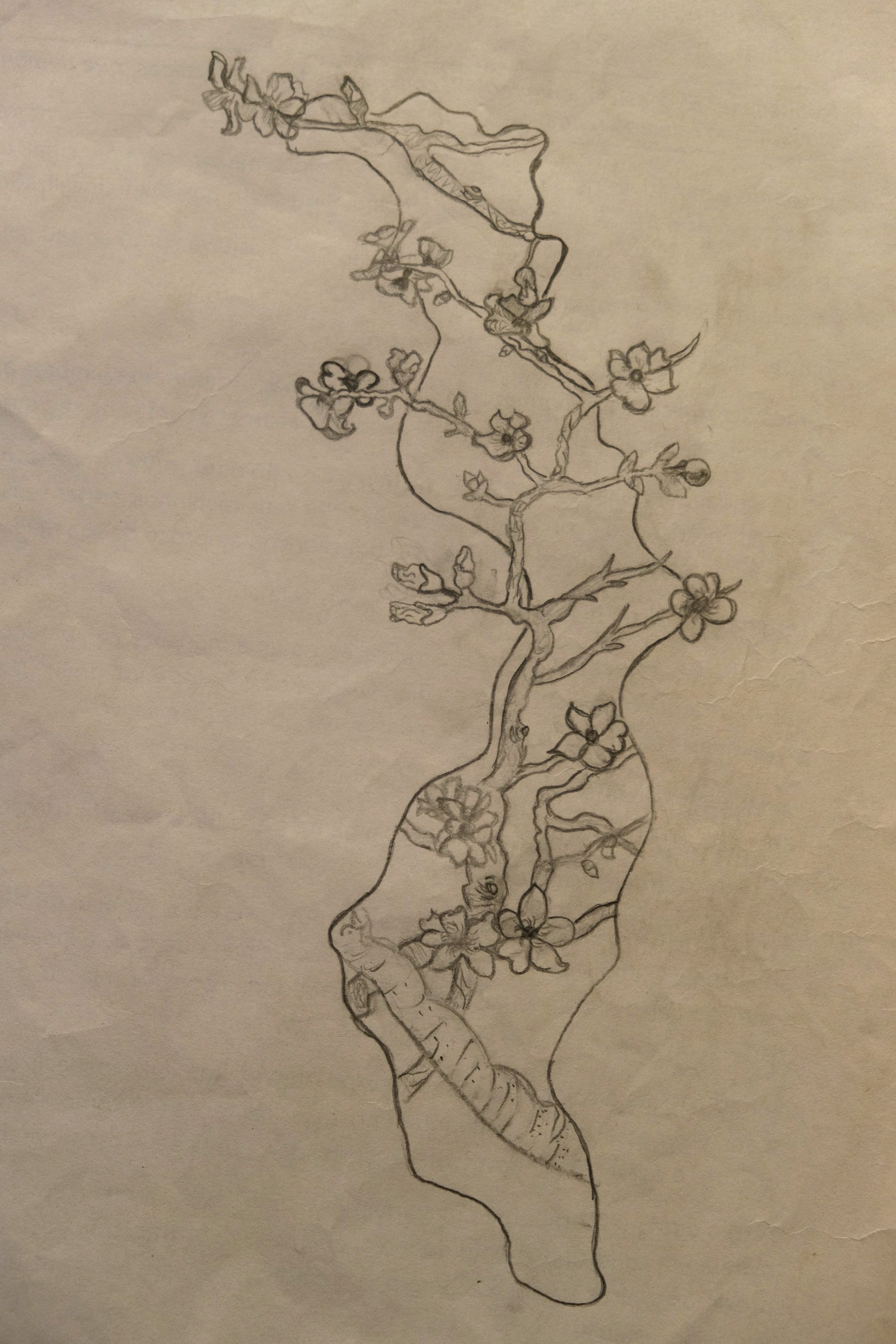 (Untitled)